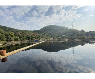 市政污水·穩(wěn)定達標且不增加處理費用—庫巴魯