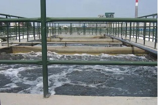 為什么工業廢水脫氮需要補充額外的碳源？