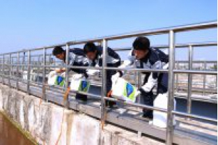 反硝化菌在污水處理中的作用是什么？